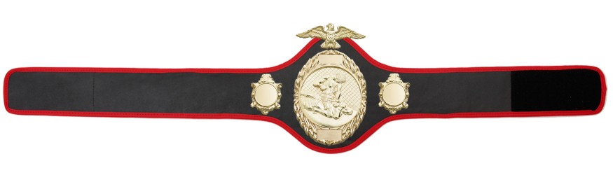 MMA CHAMPIONSHIP BELT- PRO288/G/MMAG - 10 COLOURS MMA CHAMPIONSHIP BELT- PRO288/G/MMAG - 10 COLOURS